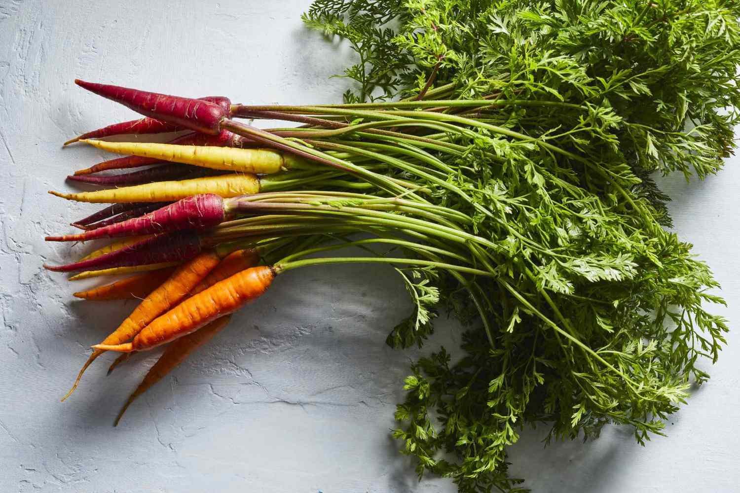 Carrot-Greens-by-Meredith-2000-4a867824e5f842889f94a7ce64112871 Best companion plants for Celery - Guide