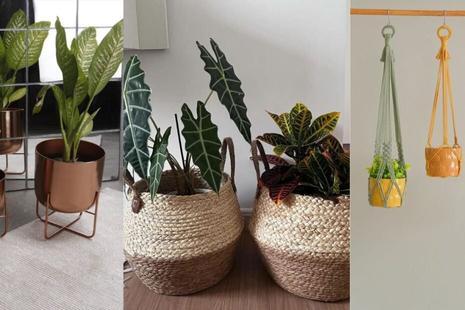 10 Stylish Indoor Plant Pots to Elevate Your Green Oasis