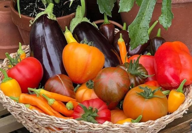 Creating a Thriving Vegetable Garden: Easy Vegetables to Grow