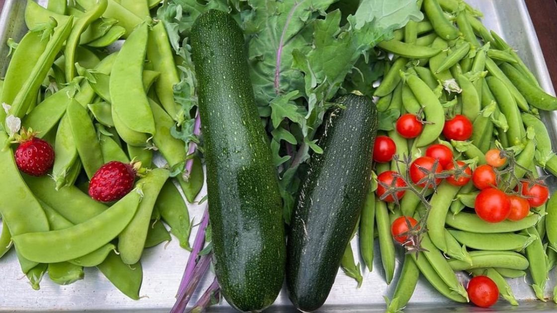 Vegetable Garden Easy-to-Grow Veggies