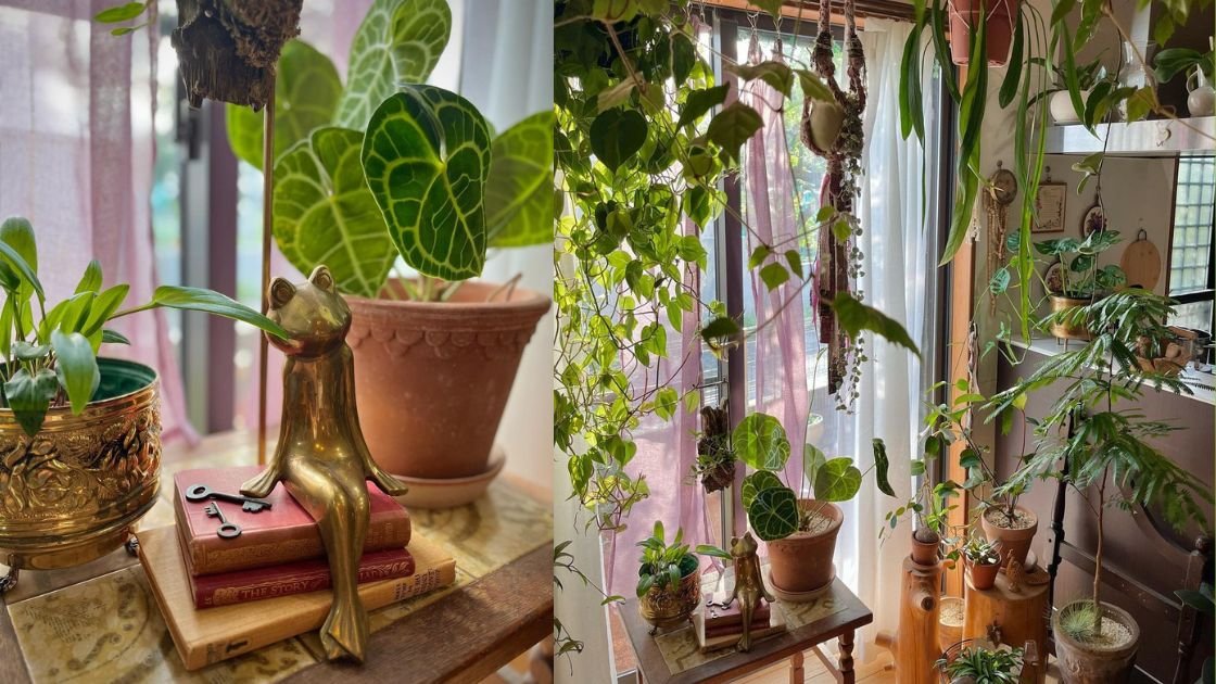 Secrets to Choosing the Best Indoor Plants for Your Home