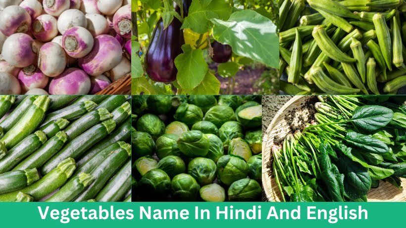 Vegetables Name In Hindi And English