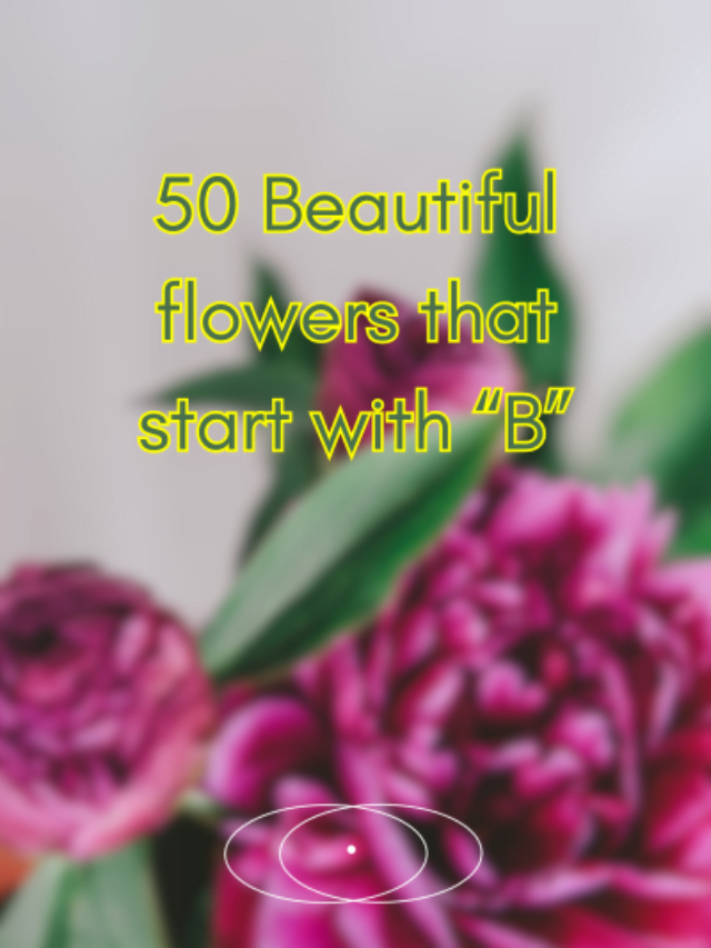 50 Beautiful flowers that start with “B”