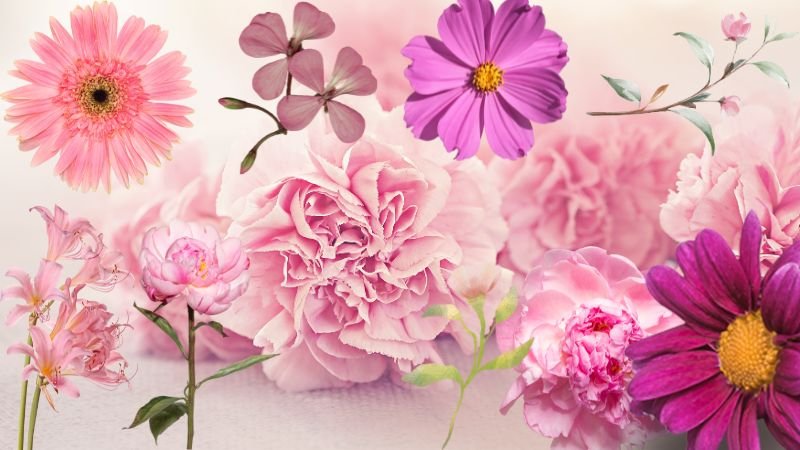 35 Pink Flowers That Will Enchant Your Garden