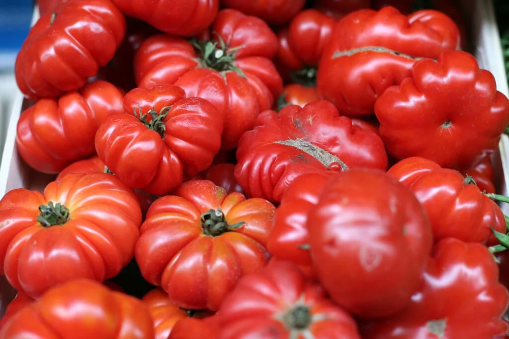Gardening Beefsteak-tomatoes-1024x683 Tomato Harvesting : A Comprehensive Guide