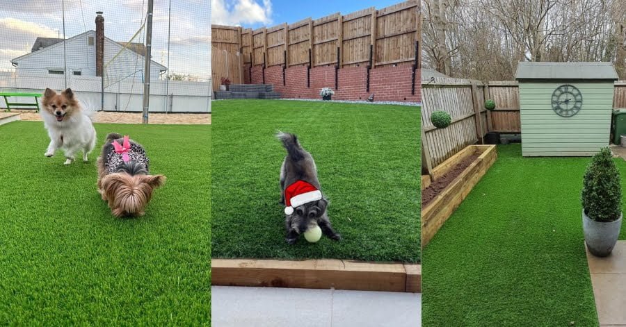 Pawsome Playgrounds Benefits of Artificial Grass for Dogs