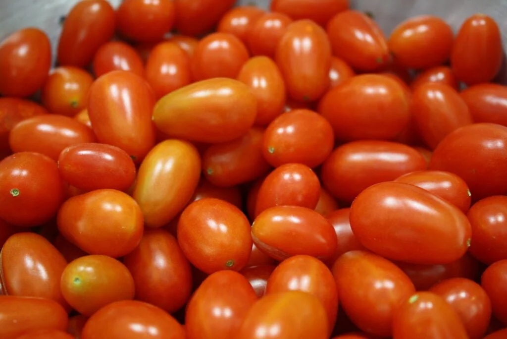 Gardening grape-tomatoes-1024x684 Tomato Harvesting : A Comprehensive Guide