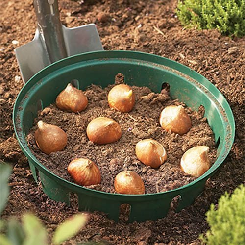 Bulb-Planting-Baskets Bulb Planter: Essential Tools for a Flourishing Garden