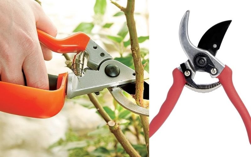 SECATEURS 10 Tools that are Useful for Gardening