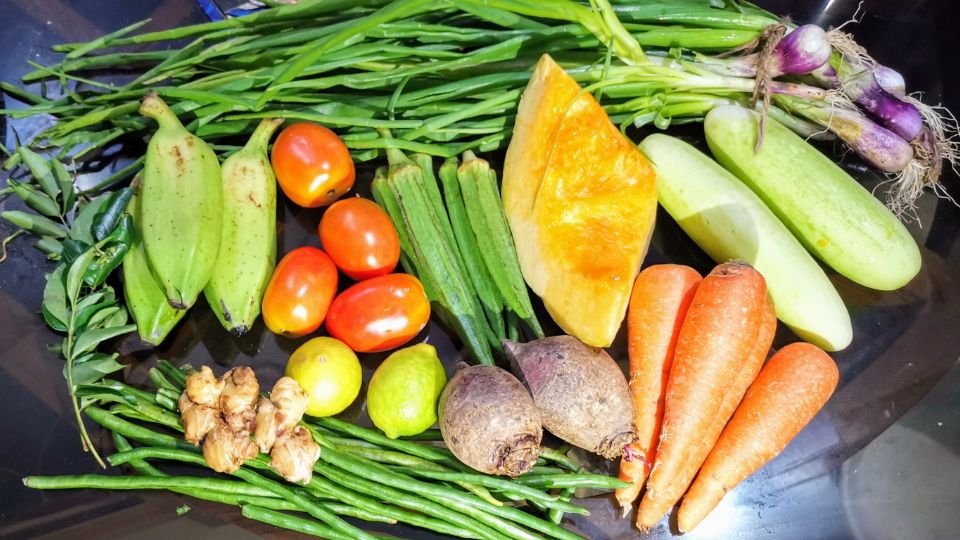 Gardening Winter-Garden-Joy-Cold-Hardy-Plants-to-Grow Winter Garden Joy : Cold-Hardy Plants to Grow