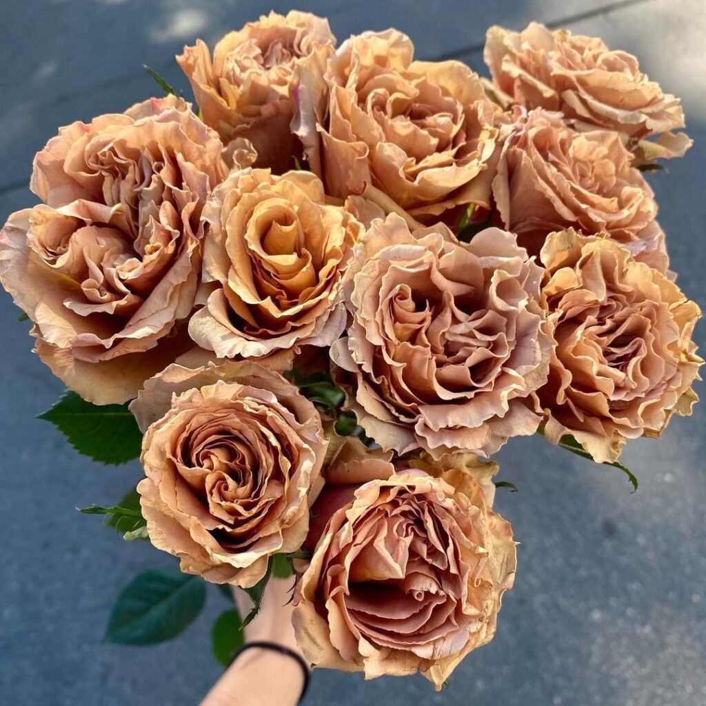 Gardening Toffee Brown Roses for a Rustic, Warm Look