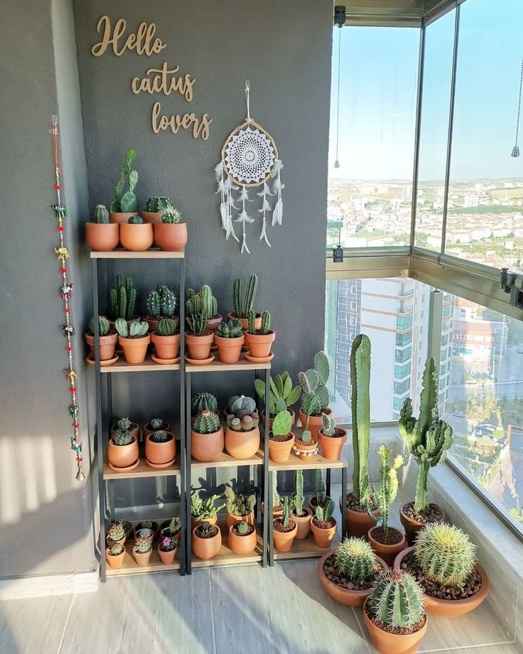  31 Stunning Cactus Varieties to Liven Up Your Home