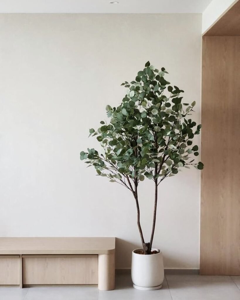 Gardening Eucalyptus-1-819x1024 The 18 Best Plants For Bedrooms