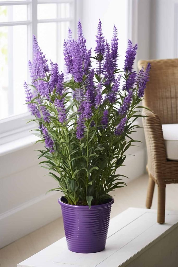 Gardening Lavender-n The 18 Best Plants For Bedrooms
