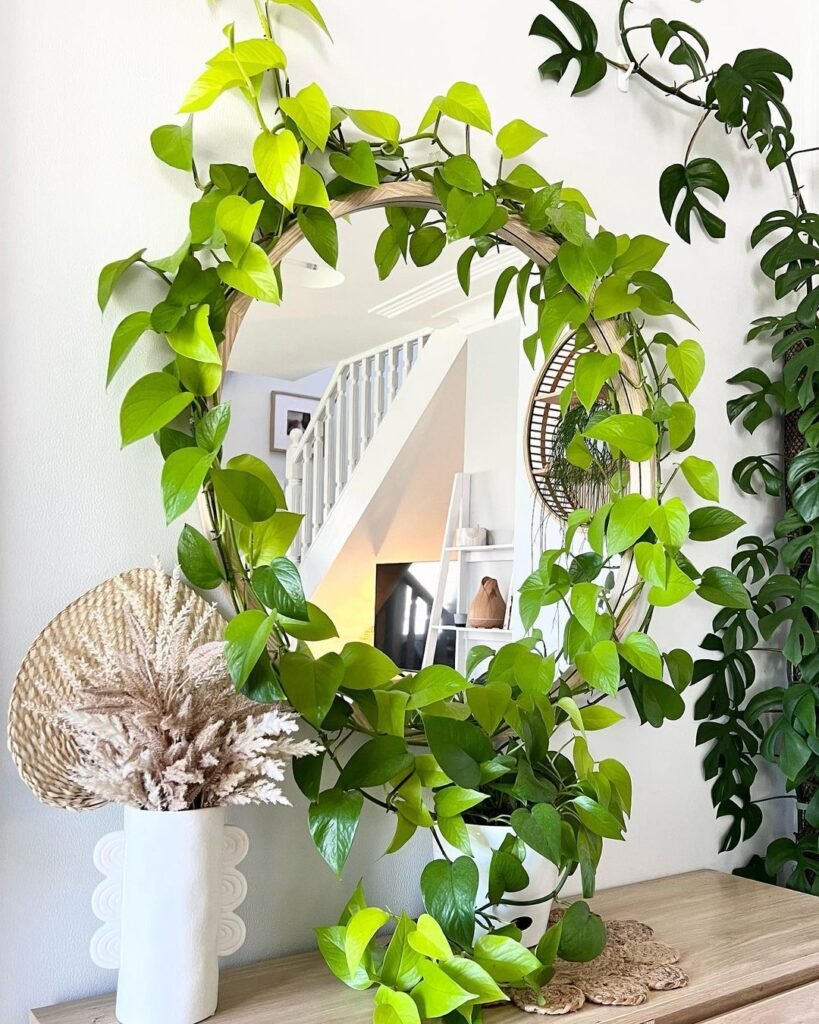 Gardening Pothos-819x1024 The 18 Best Plants For Bedrooms