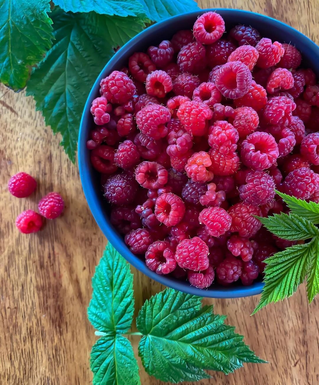 How to Grow Raspberries at Home: A Complete Beginner's Guide