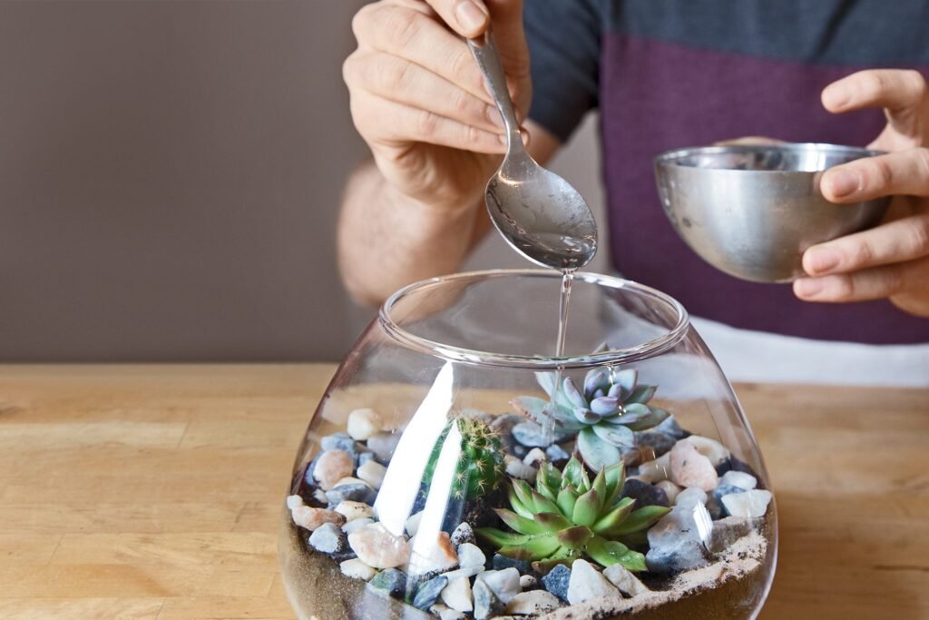 Terrarium-Water-and-Maintain-1024x683 25 Stunning Terrarium Plants to Liven Up Your Home