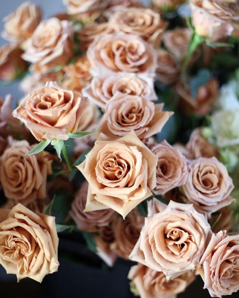 Gardening Toffee-Brown-Roses-2-820x1024 Toffee Brown Roses for a Rustic, Warm Look