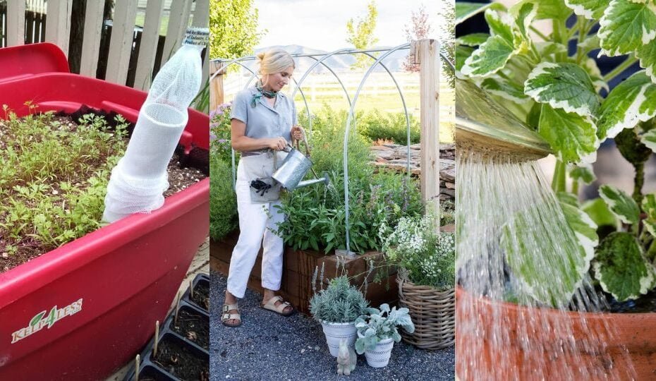 Watering Outdoor Potted Plants Perfectly