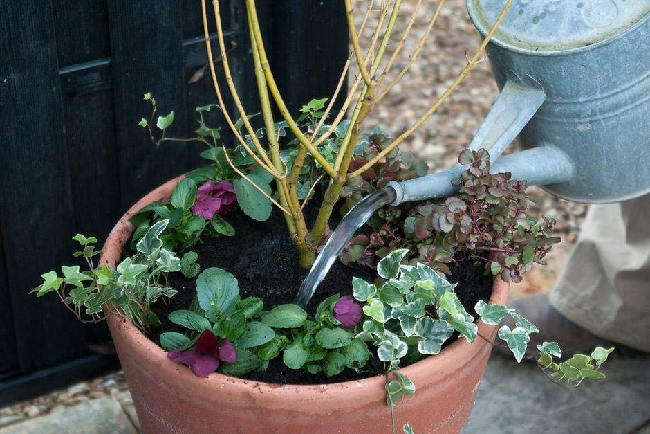 Watering-Outdoor-Potted-Plants-Perfectly-Container-Size The Ultimate Guide to Watering Outdoor Potted Plants Perfectly
