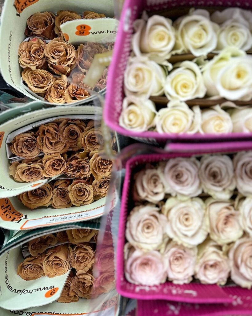 Gardening Wholesale-Flower-Sellers-2-819x1024 Toffee Brown Roses for a Rustic, Warm Look