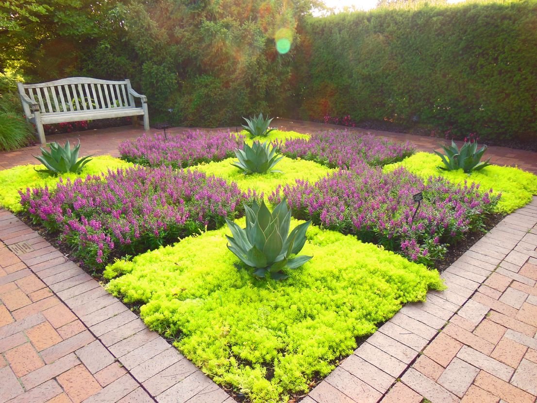 Gardening Using-Sedums-as-Ground-Covers Easy Guide to Growing Colorful Sedum & Stonecrop Ground Covers