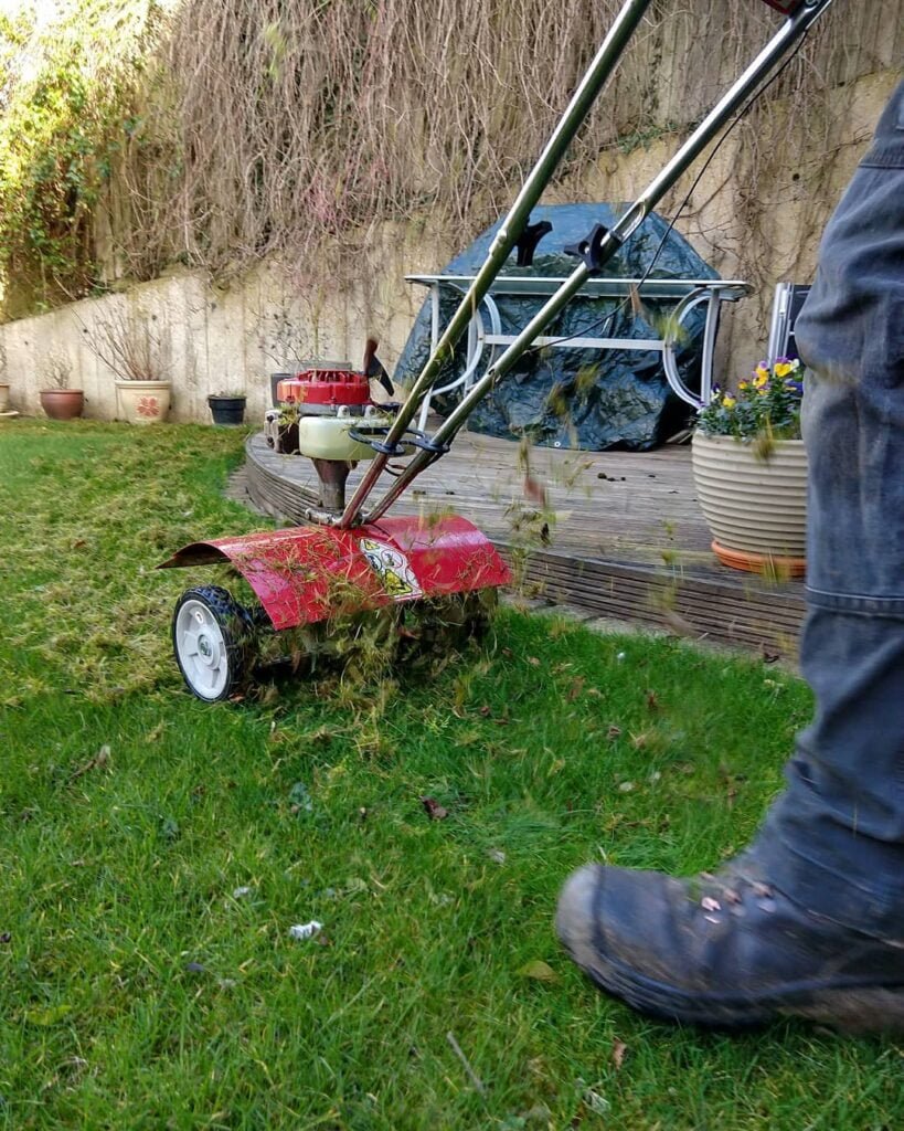 Gardening What-is-a-Lawn-Scarifier-819x1024 The Secret to a Lush Lawn : What a Lawn Scarifier is, and How to Use It