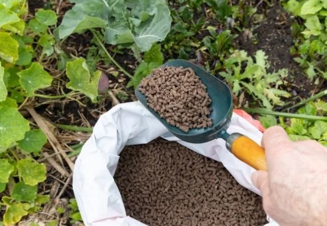 Power of Chicken Manure Pellets: A Gardener's Guide to Nutrient-Rich Goodness