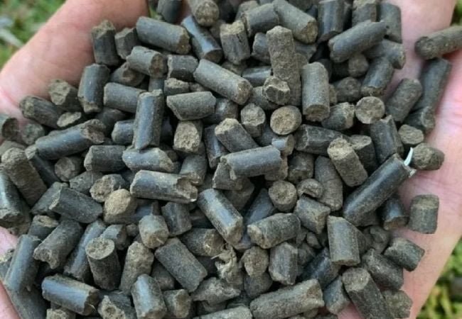 The Ultimate Guide to Chicken Manure Pellets: Benefits, Application and Best Practices