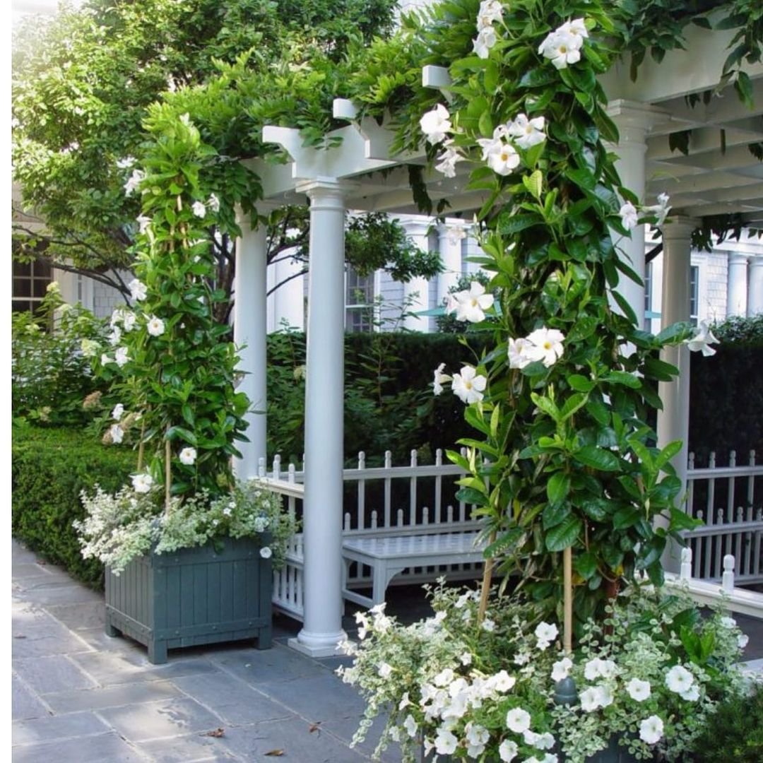 Gardening Welcoming Front Gardens : Creative Design Inspirations