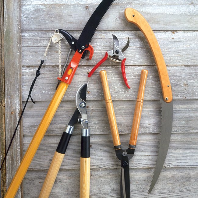 Gardening Tools-for-Pruning Pruning Tomato Plants : A Comprehensive Guide