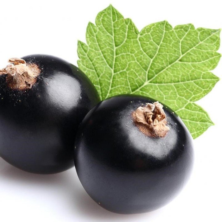 Gardening What-are-Cassis-Fruit-and-Blackcurrants Cassis Fruit vs Blackcurrant : Key Differences Revealed