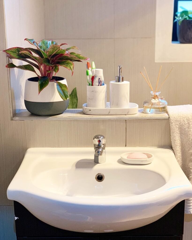 Gardening 2.-Chinese-Evergreen-Aglaonema-819x1024 Top 10 Best Plants for Bathrooms : Thrive in Humid Conditions (2024)