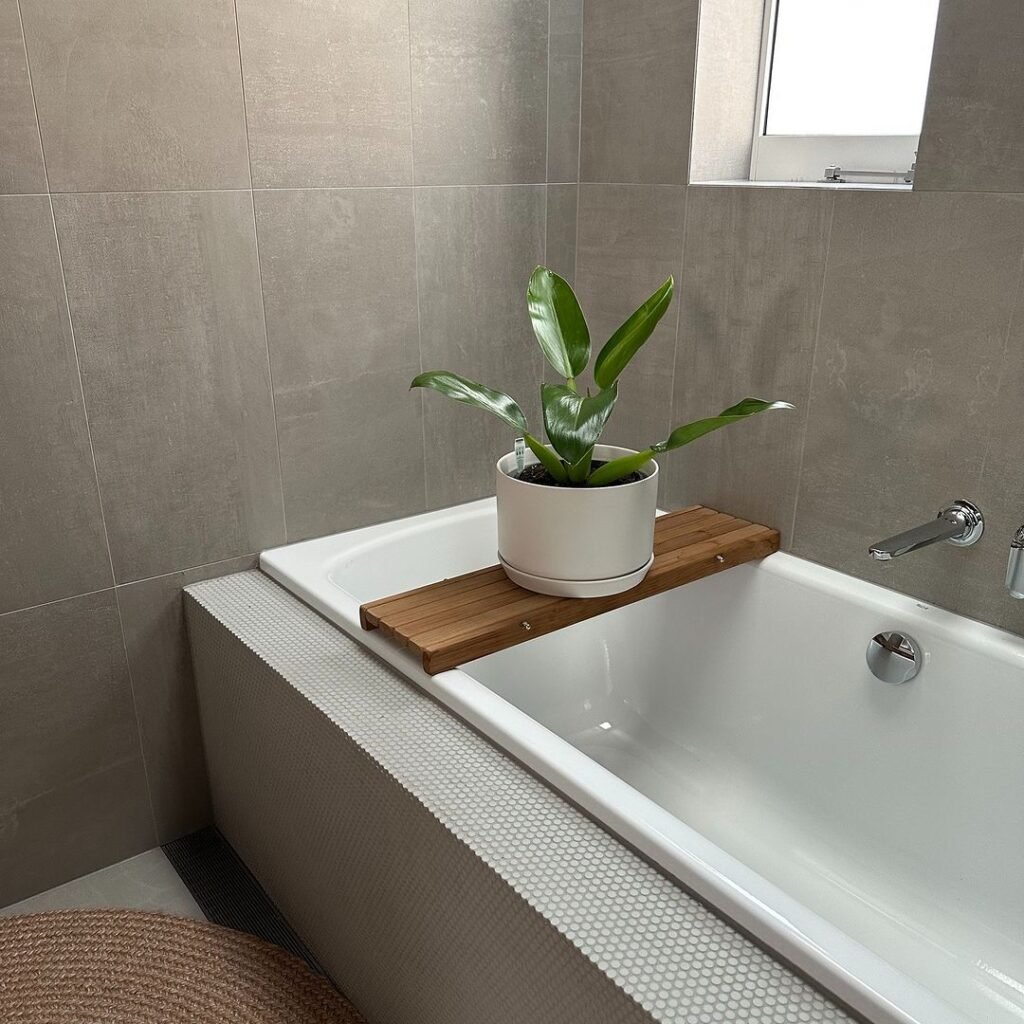 Gardening 6.-Philodendron-1024x1024 Top 10 Best Plants for Bathrooms : Thrive in Humid Conditions (2024)