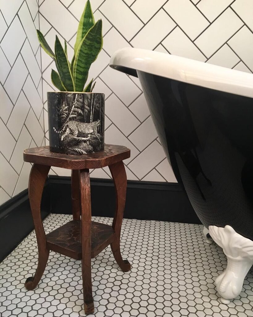 Gardening Snake-Plant-819x1024 Top 10 Best Plants for Bathrooms : Thrive in Humid Conditions (2024)