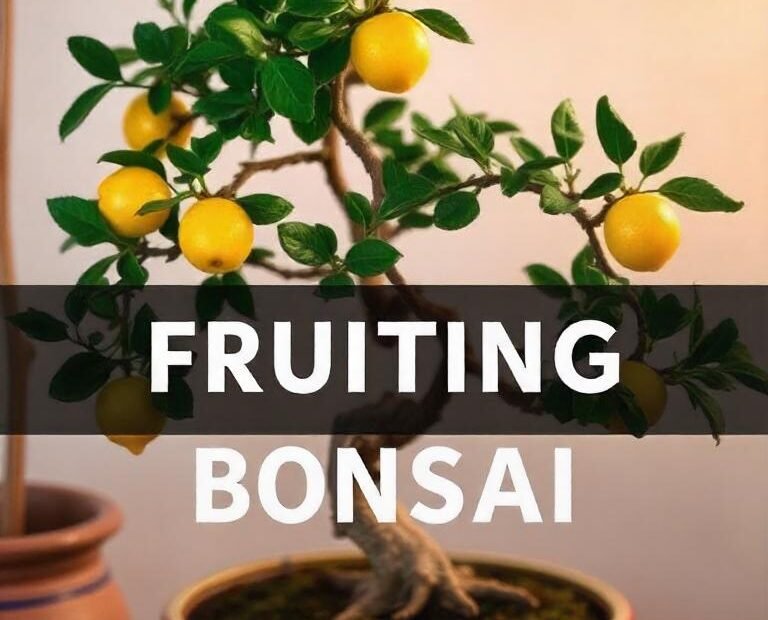 Fruiting Bonsai : The Art of Growing Miniature Fruit Trees